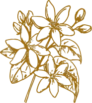 Casa Gardenia – Pedra Aguda SPA Casa Gardenia - Pedra Aguda SPA